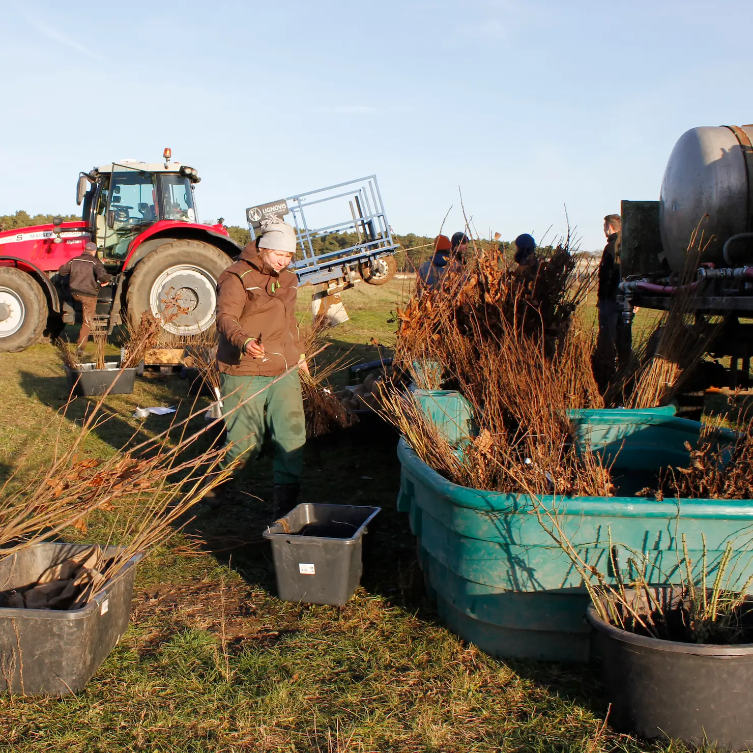 Warnke-Gmbh-Agroforstpflanzung-squared
