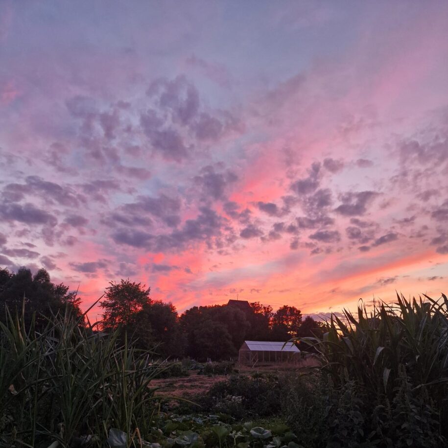 Abendhimmel über dem Garten in Garz, im Hintergrund das Gewächshaus